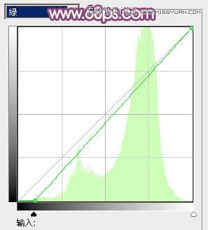 PS把户外花丛女生照片调成夏季阳光紫色调