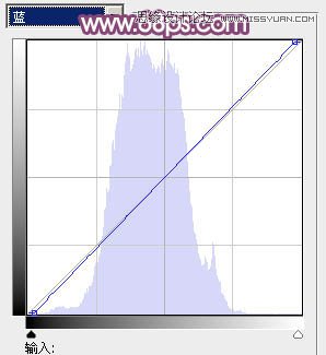 PS把户外花丛女生照片调成夏季阳光紫色调