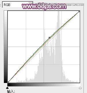 PS把户外花丛女生照片调成夏季阳光紫色调