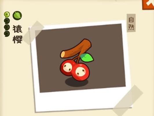 ʡ԰ô