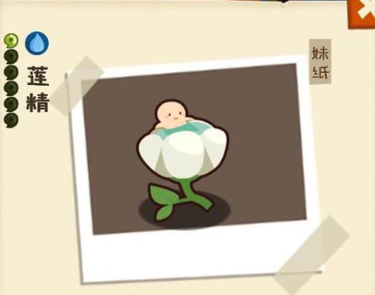 ʡô