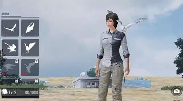 《绝地求生刺激战场》宠物获得方法
