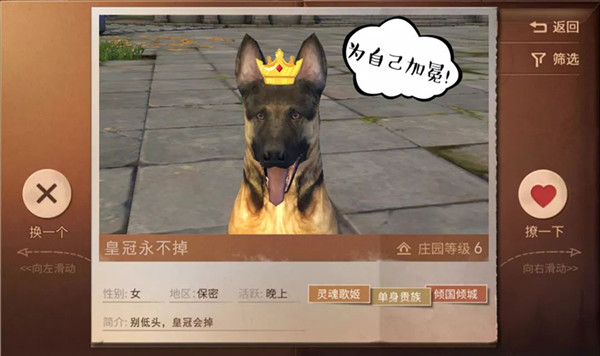 《明日之后》标签单身贵族是什么意思