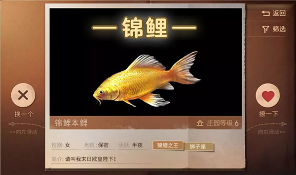 《明日之后》标签锦鲤之王是什么意思