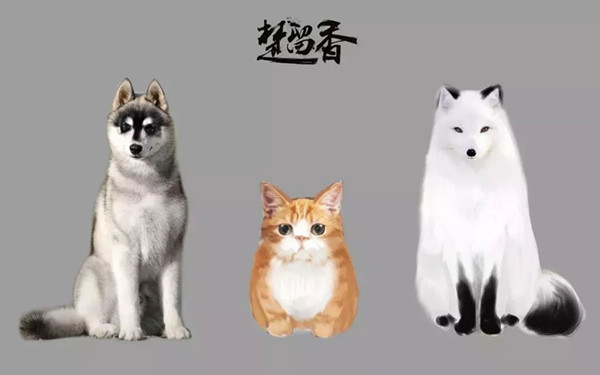 《楚留香》手游激萌宠物系统介绍