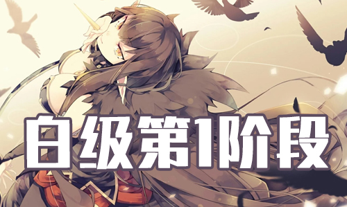 FGO2019情人节白级狂本配置