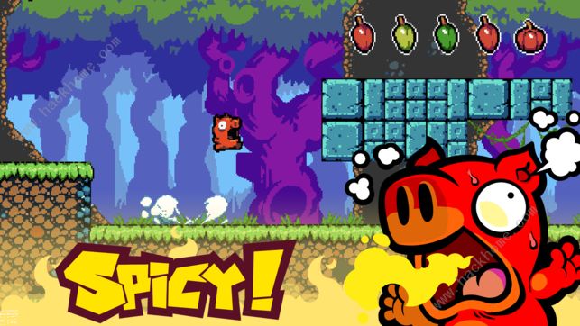《Spicy Piggy》全关卡通关大全