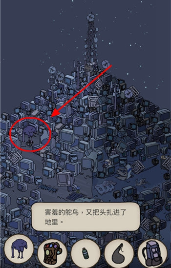 ξ̽