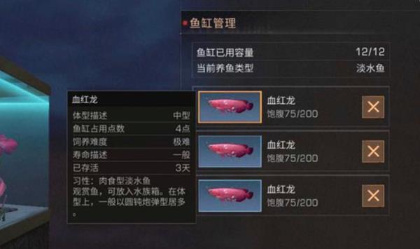 《明日之后》血红龙多少钱一只