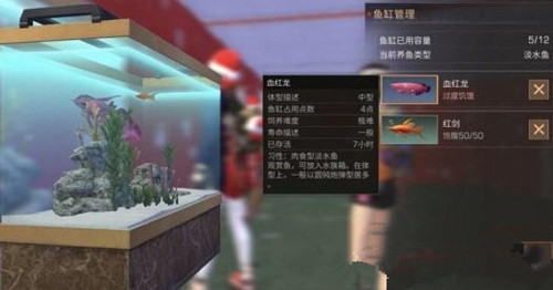 《明日之后》血红龙可以自动钓吗