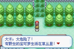 《口袋妖怪火红》一周目图文流程通关攻略