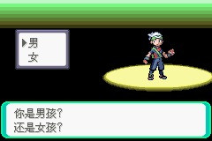 《口袋妖怪雪之白4.0》一周目攻略