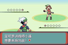 《口袋妖怪雪之白4.0》一周目攻略