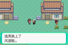 《口袋妖怪雪之白4.0》一周目攻略