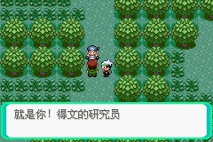 《口袋妖怪雪之白4.0》一周目攻略