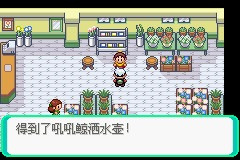 《口袋妖怪雪之白4.0》一周目攻略