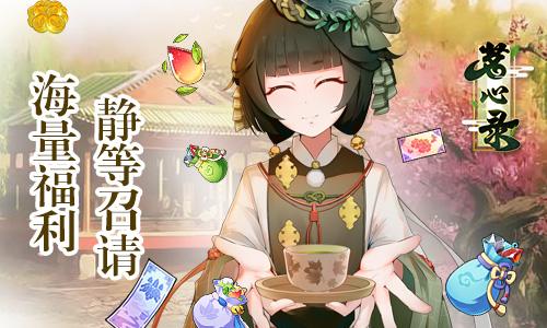《茗心录》煎水配方材料怎么放