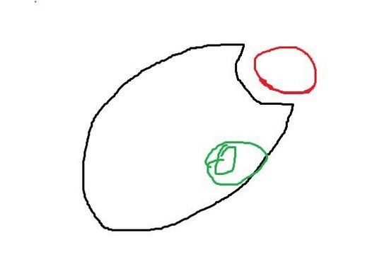 《明日之后》沼泽宝箱信徒的守护无伤拿宝箱方法