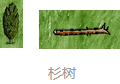 һСʱô