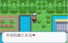 《口袋妖怪暗之冰花》新增剧情流程攻略