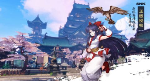 《侍魂胧月传说》魔界生还者高分怎么得