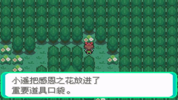 《口袋妖怪绿宝石802版》神兽分布图