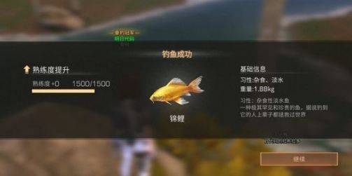 《明日之后》锦鲤常见问题汇总