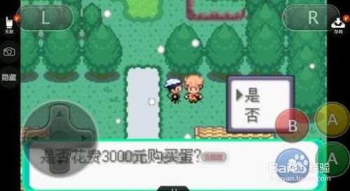 《口袋妖怪冰雪城》任务攻略