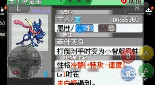 《口袋妖怪冰雪城》任务攻略