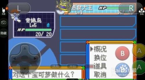 《口袋妖怪冰雪城》任务攻略