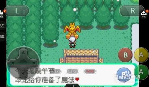 《口袋妖怪冰雪城》任务攻略