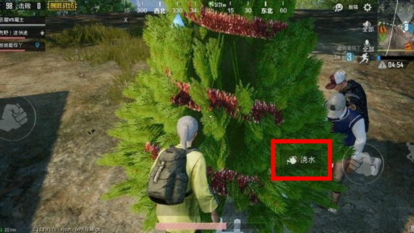 《绝地求生刺激战场》圣诞树怎么浇水