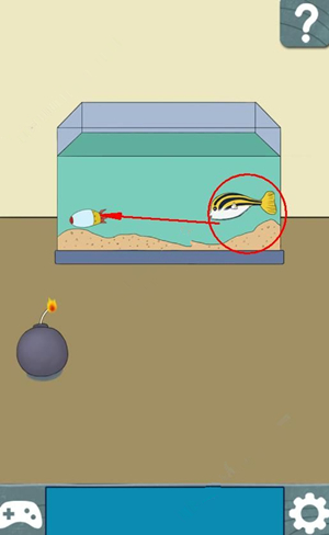 ����ֵ�ը������������ô��