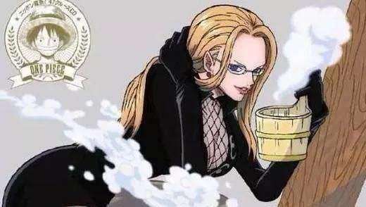 《航海王燃烧意志》佳妮法怎么样