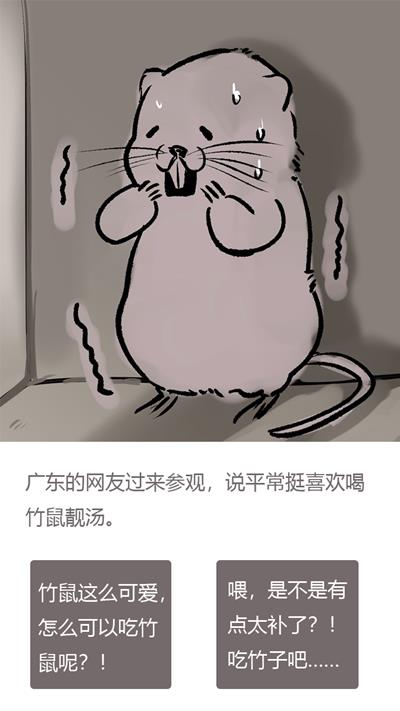《竹鼠活下去》图文攻略大全
