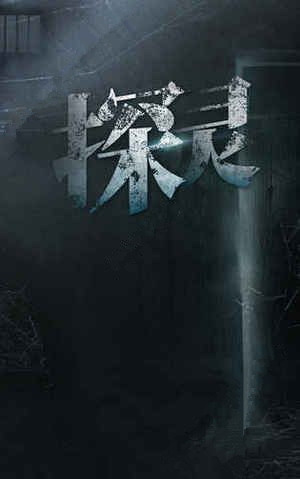 《探灵》游戏怎么样