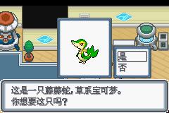 《口袋妖怪白金光》二周目图文攻略大全