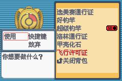 《口袋妖怪白金光》二周目图文攻略大全
