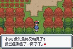 《口袋妖怪白金光》二周目图文攻略大全