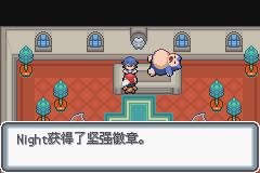 《口袋妖怪白金光》二周目图文攻略大全