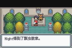 《口袋妖怪白金光》一周目图文攻略大全