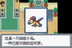 《口袋妖怪白金光》一周目图文攻略大全