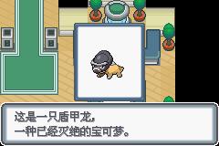 《口袋妖怪白金光》一周目图文攻略大全