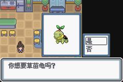 《口袋妖怪白金光》一周目图文攻略大全