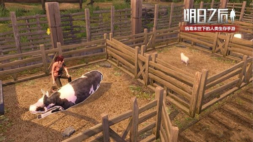 《明日之后》怎么养猪