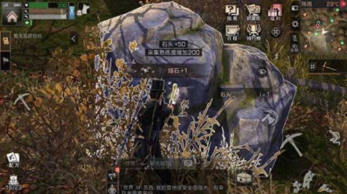 《明日之后》秋日森林资源有哪些