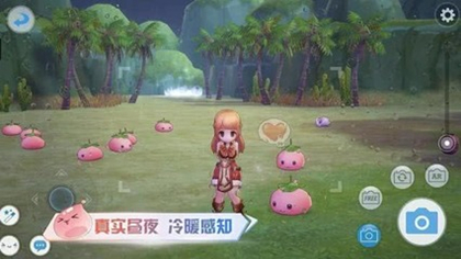 《仙境传说RO爱如初见》野外随机事件完成方法