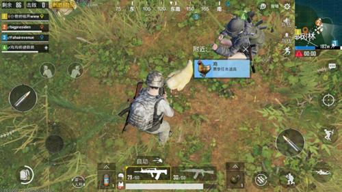 《绝地求生刺激战场》仅限第4周内累计抓到10只鸡任务攻略
