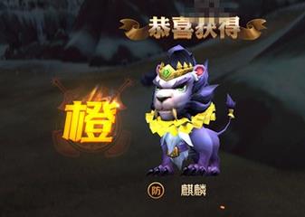《我叫mt4》怎么开橙色宝宝