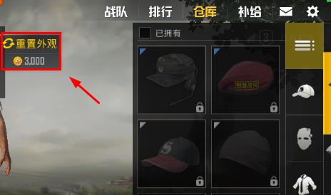 《绝地求生刺激战场》怎么换发型